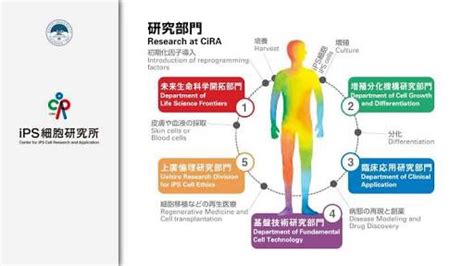 dior stem cell research